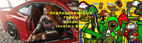 амф Аркадак