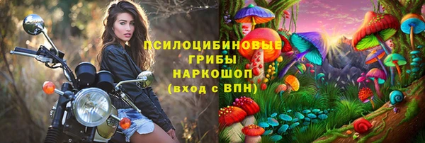 хмурый Балабаново