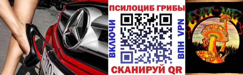 Купить закладки  Галич  Галлюциногенные грибы Cubensis 